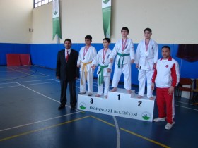 iller_arasikyokushin