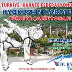 Bursa karate şampiyonası
