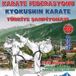 bursa karate