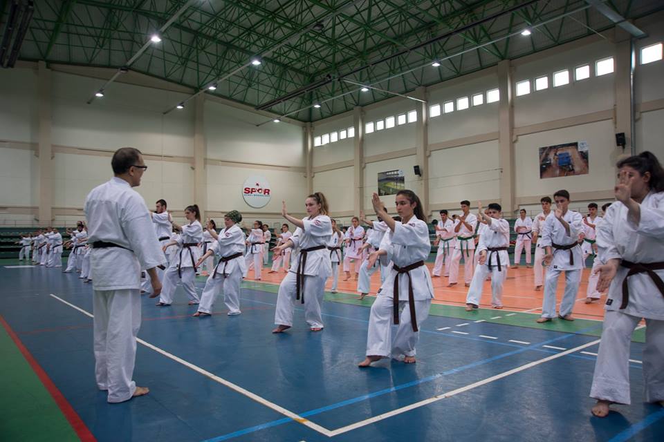 31958157_2141573949399503_3079971599726673920_n